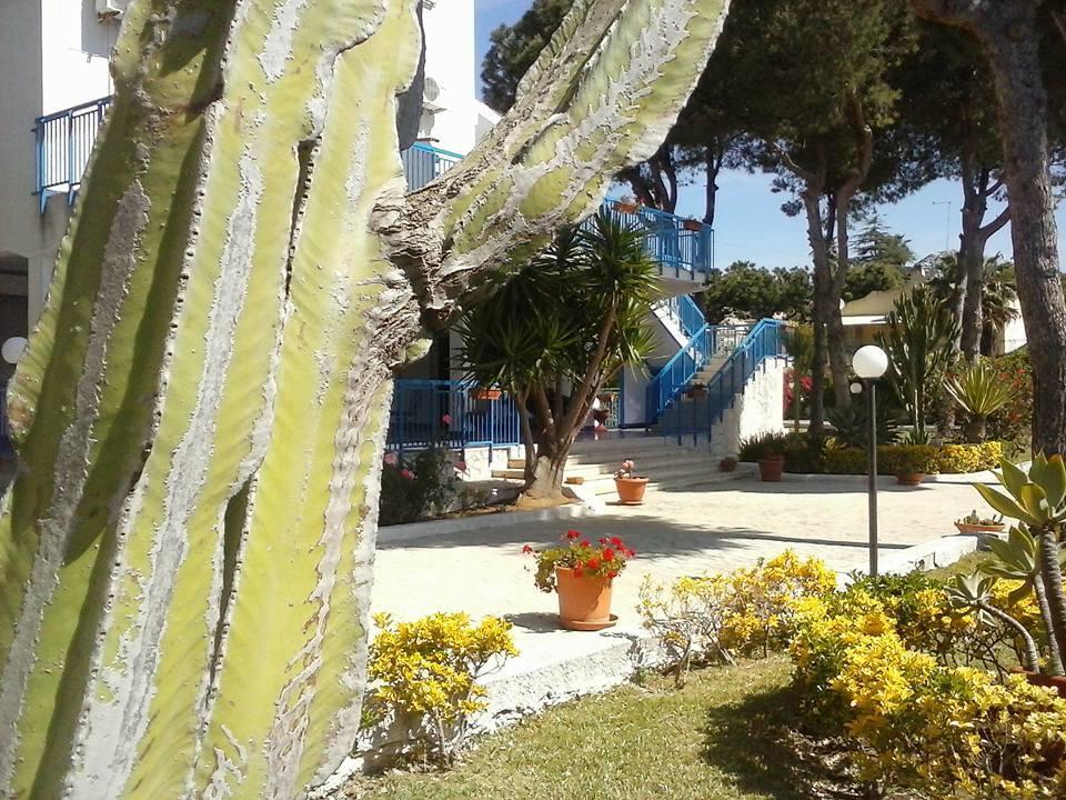 B&B Nido Colorato Fontane Bianche Eksteriør bilde
